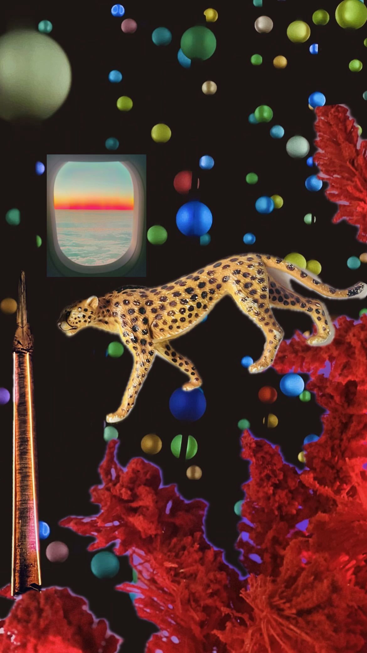 Digital collage: cheetah, floating marbles, red coral and airplane window on black.