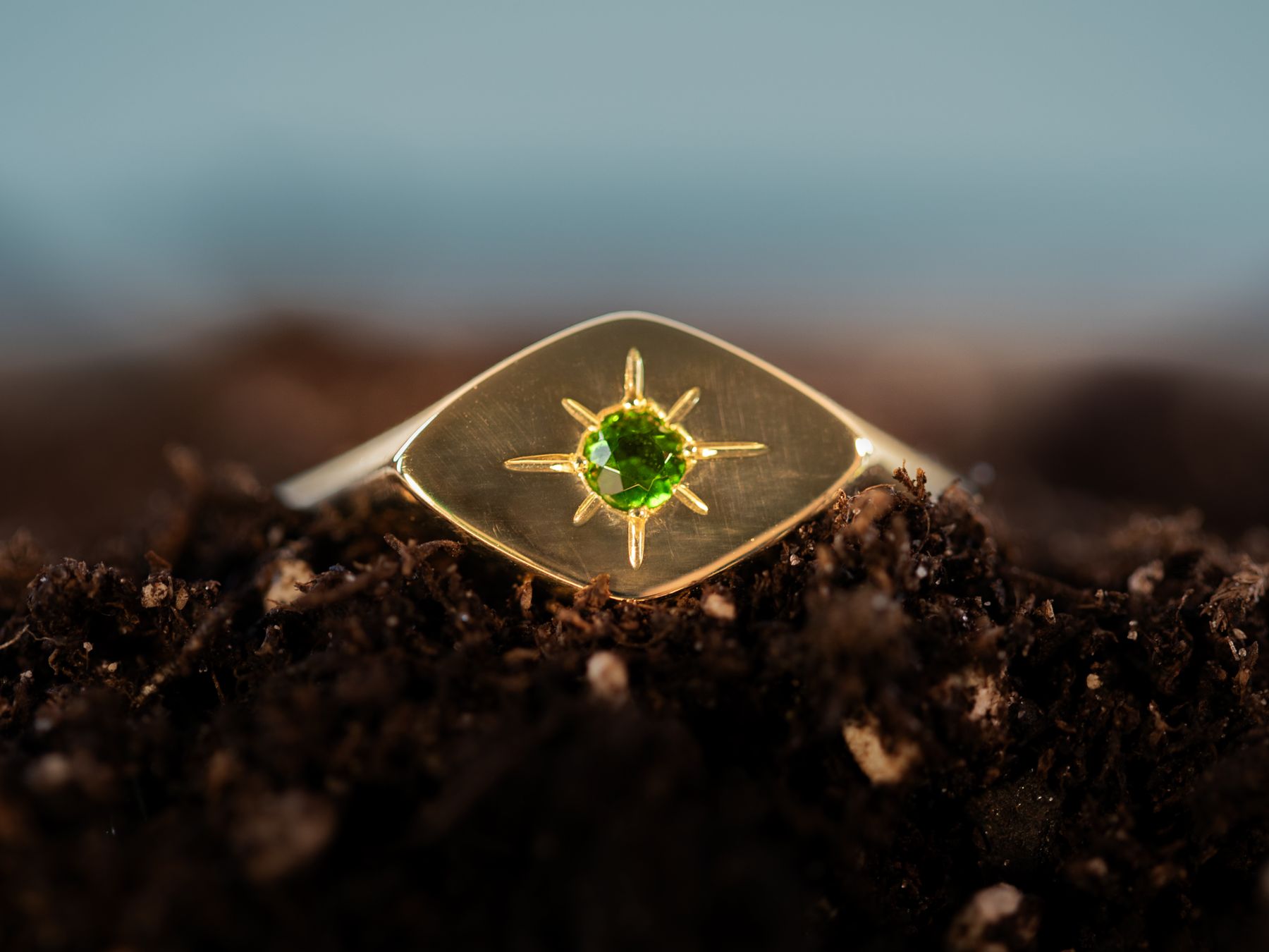 Gold ring with a green stone set into dark soil.