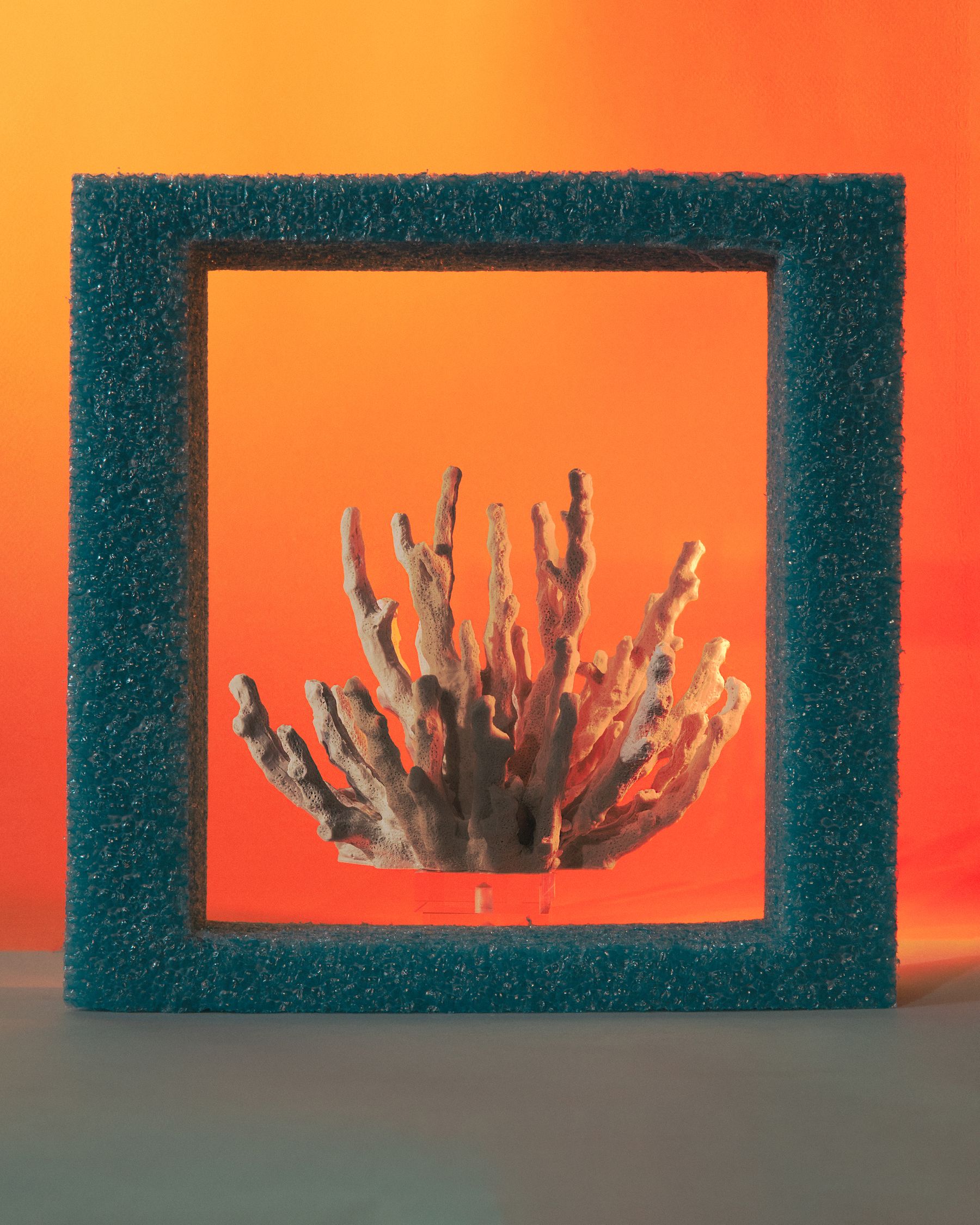 Bleached coral branch framed by a teal foam square against a saturated orange-red backdrop.