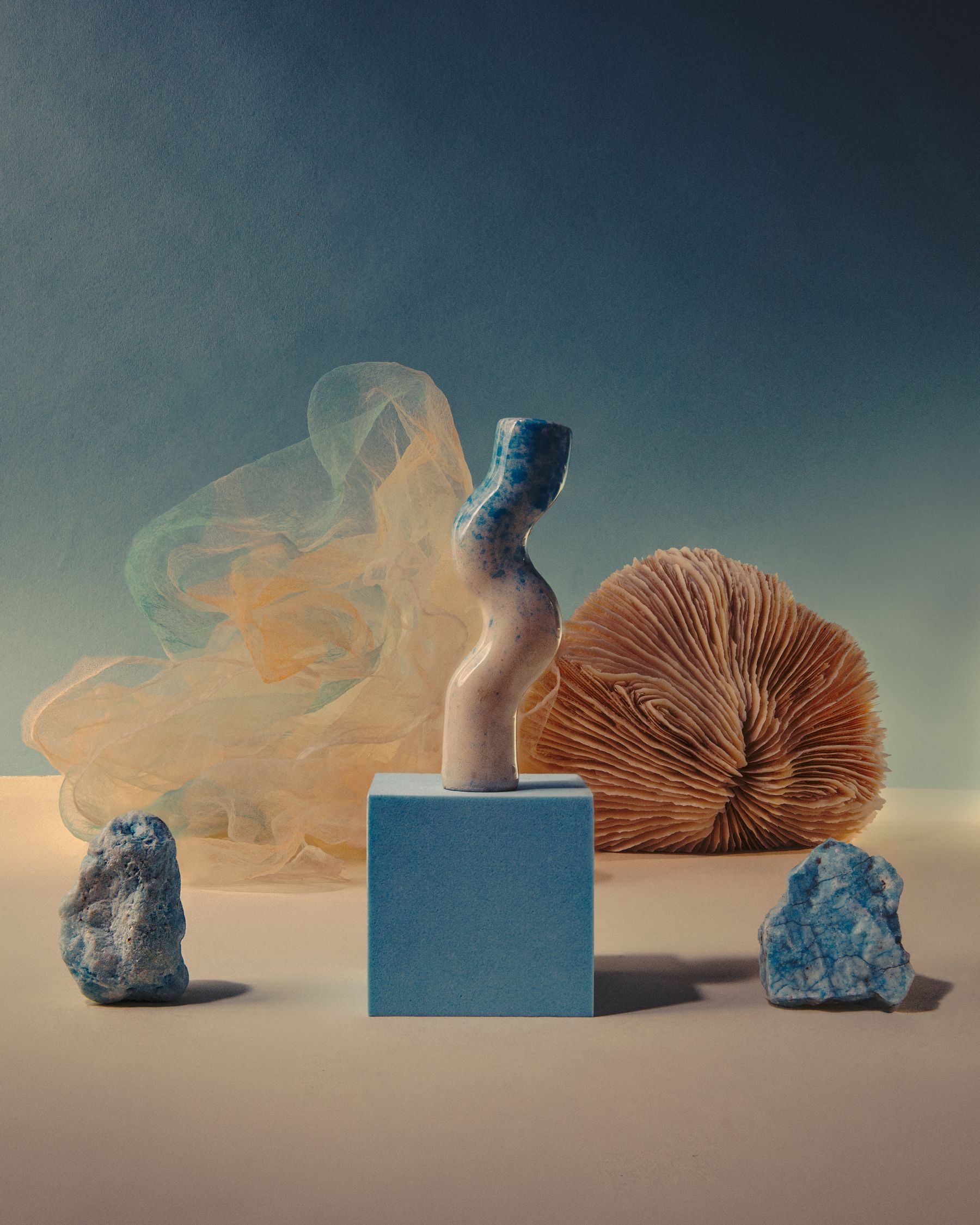 Sculptural set: twisted ceramic form on a blue block, fan shell, stones and peach tulle against dusky blue.